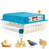 TolleTour Brutmaschine Küken Eco die Inkubator Brutapparat Produktbild-Vorschau 1