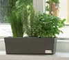 Greenbar® Kräuterkasten, für 3 Kräutertöpfe, mit Produktbild-Vorschau 9