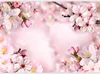 Vlies Fototapete - Spring Cherry Blossom 350x245 cm Blumen Produktbild-Vorschau 5