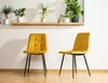 Two yellow chairs in front of a white wall with a shelf of plants above. Náhled obrázku produktu