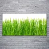 Glasbilder 120x60 Wandbild Druck auf Glas Gras Natur Produktbild-Vorschau 2