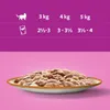 A size chart for cat food with a bowl of cat food at the bottom. Produktbild-Vorschau