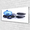 Acrylglasbilder 125x50 Wandbild Druck Blume Steine Kunst Produktbild-Vorschau 2