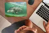 MuchoWow® Mauspad Mousepad Delfin - Tiere - Wasser 27x18 cm Produktbild-Vorschau 3