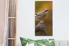 MuchoWow® - Leinwandbilder - Vogel - Zweig - Eichelhäher, Produktbild-Vorschau 5
