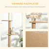 Škrabadlo Pawhut PawHut D30-296V03 Náhled obrázku produktu 6