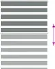 vidaXL Doppelrollo Dunkelgrau 130x150cm Stoffbreite 125,9 Produktbild-Vorschau 4