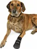 TRIXIE Pfotenschutz Walker Care Comfort, XXL, schwarz Produktbild-Vorschau 3