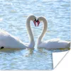 MuchoWow® Poster Vögel - Schwan - Wasser - Liebe - Sonne Produktbild-Vorschau 1