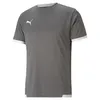 Puma Teamliga Trikot Kurzarm Kinder - Grau / Weiß Produktbild-Vorschau 1