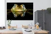 MuchoWow® Poster Frosch - Augen - Porträt 180x120 cm - Produktbild-Vorschau 3