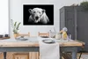 MuchoWow® Poster Porträt Eisbär auf schwarzem Hintergrund Produktbild-Vorschau 3