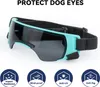 Hundebrille, kleine Rassen, UV-Schutz, Sonnenbrille, Produktbild-Vorschau 5