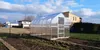 A greenhouse is set up in a yard with houses in the background. Produktbild-Vorschau