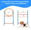Kit d'agilité pour chiens Peviasot, comprenant : un tunnel Voir les images du produit 5