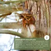 wildtier liebe Eichhörnchen Kobel - Nest für Eichhörnchen Produktbild-Vorschau 5