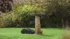 Rasaerba robotizzato Bosch Indego S+ 500 Anteprima dell’immagine prodotto 25