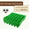 10 Kunststoff Eierlagen Mehrweg Eierhorden aus Plastik für Produktbild-Vorschau 4