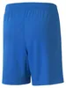 Pantalon Puma Teamliga 70493102 Voir les images du produit 2