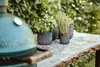 A close-up of a green grill with several potted plants on a wooden table in a garden setting. Voir les images du produit