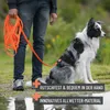 REAVET Schleppleine für Hunde 10 Meter, Neon Orange I Produktbild-Vorschau 3