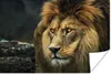 MuchoWow® Poster Löwe - Porträt - Wild 120x80 cm - Bilder Produktbild-Vorschau 1