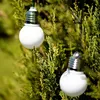 Two white globe string lights hanging from a green evergreen tree. Náhľad obrázku produktu