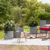 Fioriera LECHUZA CANTO Stone 40 Low Sand beige | fioriera Anteprima dell’immagine prodotto 29