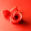 BackDecor fondant rosso, 250 g | Pronto all'uso | Senza Anteprima dell’immagine prodotto 4