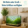 An aquarium with fish and plants is displayed on a wooden table in a living room setting. Produktbild-Vorschau
