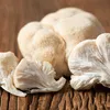 Hawlik Pilzbrut  Hericium-Kultur – Pilz des Jahres 2026, Produktbild-Vorschau 6