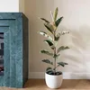 Figowiec sprężysty - Ficus Elastica 'Tineke' - Wysokość Podgląd zdjęcia produktu 6