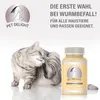 Pet Delight® Wurm Leckerli – Wurmmittel Hund – entwurmen Produktbild-Vorschau 4