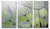 Visario Leinwandbild Pusteblume 160x90 cm – 3-teilig, Bild Produktbild-Vorschau 1