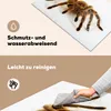 KitchenYeah© Herdabdeckplatte Chilenische Vogelspinne auf Produktbild-Vorschau 2