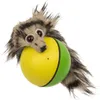 Weazel-Ball Wiesel-Design Spielzeug mit Motor für Kinder & Produktbild-Vorschau 10