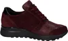 Waldläufer für Damen in bordeaux bordeaux 236-51-00090 Produktbild-Vorschau 9