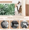 Collage of images showing plants, cats, and text describing cat scratching posts. Produktbild-Vorschau