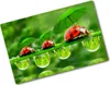 Tulup Glas Herdabdeckplatte - 80x52 cm - Produktbild-Vorschau 1