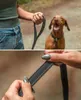 lionto Laisse pour chiens réfléchissante, laisse Voir les images du produit 4