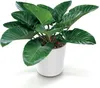 Blumentopf Dekotopf Runder Topf 30 cm Urbi Pflanztopf Für Produktbild-Vorschau 5