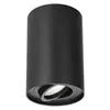 A black cylindrical ceiling light fixture with a rotatable spotlight. Náhled obrázku produktu