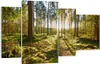 Bild auf Leinwand - Leinwandbild - Wald Baum Natur - Produktbild-Vorschau 1