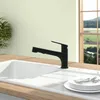Villeroy & Boch 92810006 Küchenarmatur Junis Shower Produktbild-Vorschau 9