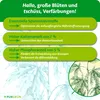 Purgrün Hybrid-Bloom-Dünger 1 Liter, Produktbild-Vorschau 3