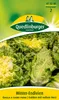 Winter-Endivien Gialla a cuore pieno Produktbild-Vorschau 5