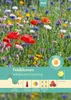 Artikelbild 1 von 'Feldblumen Wildblumenmischung' aus der Kategorie Wildblumensamen Produktbild-Vorschau