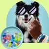 LEGO 41801 DOTS zvířecí náramek, sada šperků, kreativní DIY Náhled obrázku produktu 24