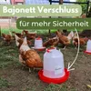 Hühnertränke Futterautomat Hühner im Set Futterspender Produktbild-Vorschau 7