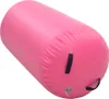 vidaXL Nafukovacia gymnastická rolka s pumpou 120x75 cm PVC Náhľad obrázku produktu 3